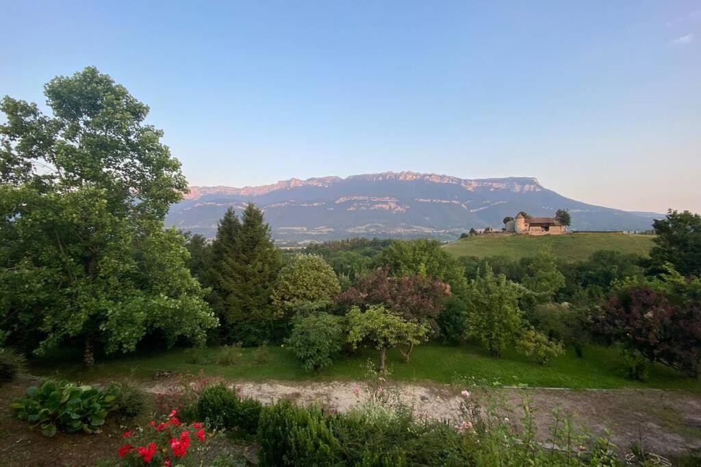 Au Calme Avec Vue Magnifique A Saint Maximin Leilighet Eksteriør bilde